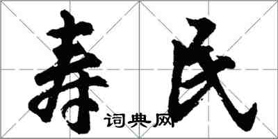 胡问遂寿民行书怎么写