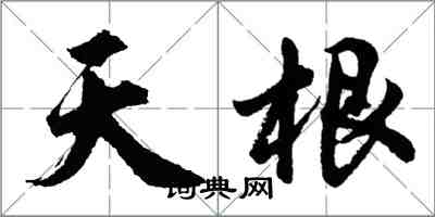 胡问遂天根行书怎么写