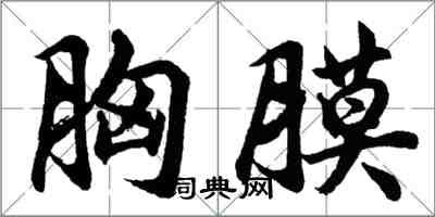 胡问遂胸膜行书怎么写