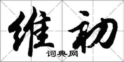 胡问遂维初行书怎么写