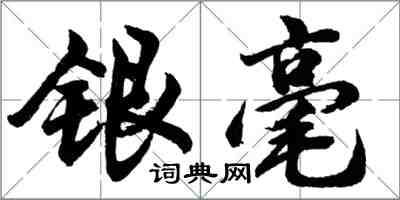 胡问遂银毫行书怎么写