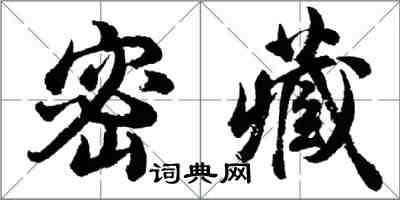 胡问遂密藏行书怎么写