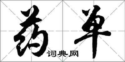 胡问遂药单行书怎么写