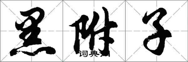 胡问遂黑附子行书怎么写