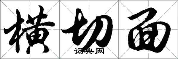 胡问遂横切面行书怎么写