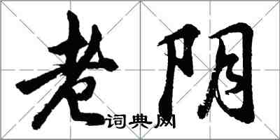 胡问遂老阴行书怎么写