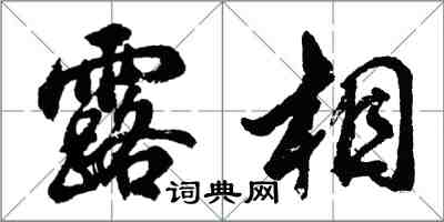 胡问遂露相行书怎么写