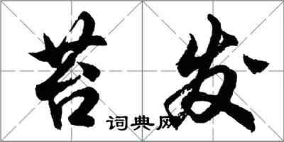 胡问遂苔发行书怎么写