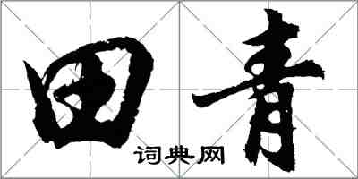 胡问遂田青行书怎么写