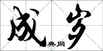 胡问遂成岁行书怎么写