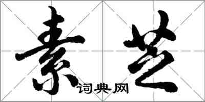 胡问遂素芝行书怎么写