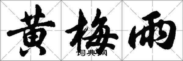 胡问遂黄梅雨行书怎么写