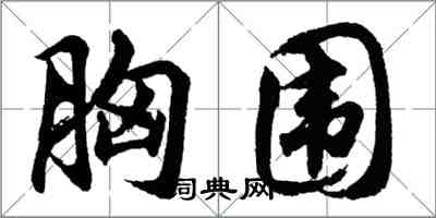 胡问遂胸围行书怎么写