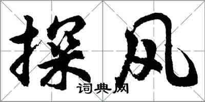 胡问遂探风行书怎么写