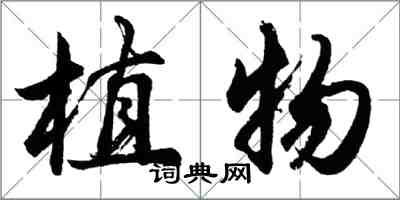 胡问遂植物行书怎么写