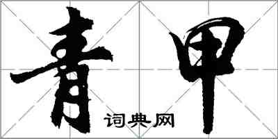 胡问遂青甲行书怎么写