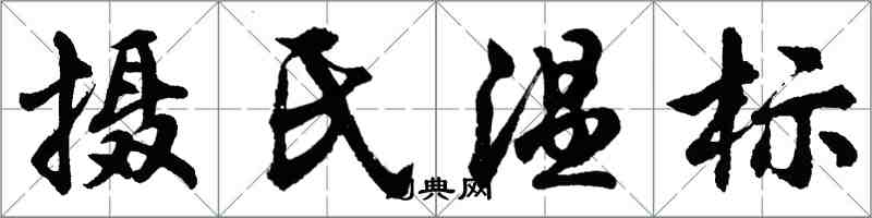 胡问遂摄氏温标行书怎么写