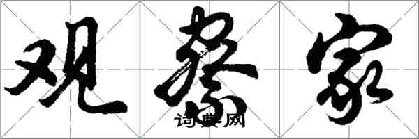 胡问遂观察家行书怎么写