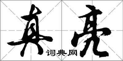 胡问遂真亮行书怎么写