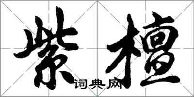 胡问遂紫檀行书怎么写