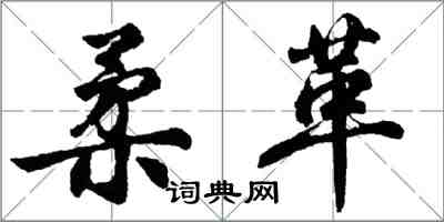 胡问遂柔革行书怎么写