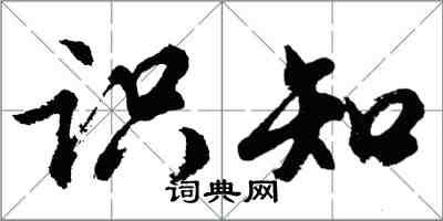 胡问遂识知行书怎么写