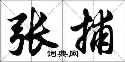 胡问遂张捕行书怎么写