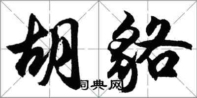 胡问遂胡貉行书怎么写