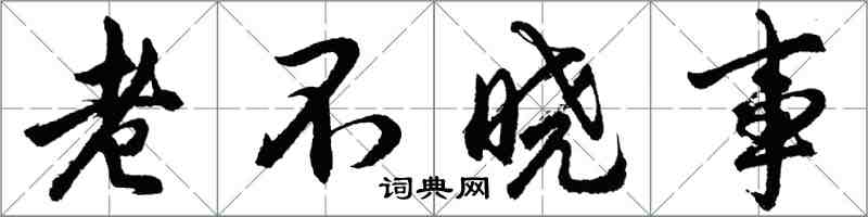 胡问遂老不晓事行书怎么写