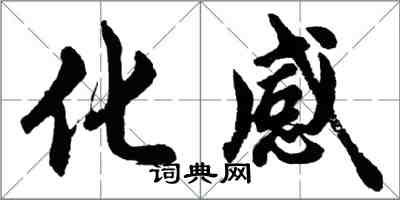 胡问遂化感行书怎么写