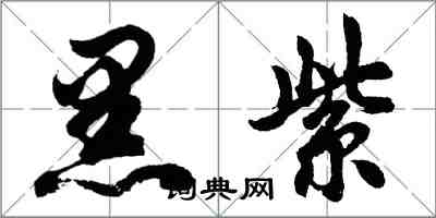 胡问遂黑紫行书怎么写