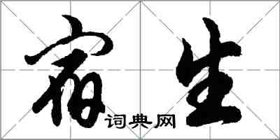 胡问遂宿生行书怎么写