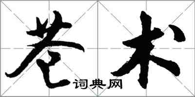 胡问遂苍术行书怎么写