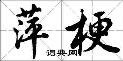 胡问遂萍梗行书怎么写