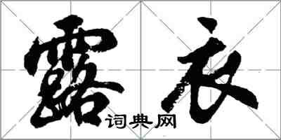 胡问遂露衣行书怎么写