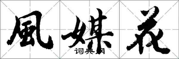 風媒花怎么写好看，風媒花书法图片