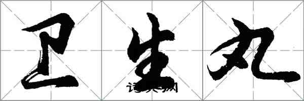 胡问遂卫生丸行书怎么写