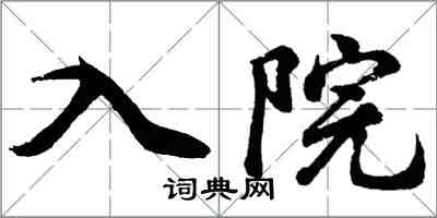 胡问遂入院行书怎么写