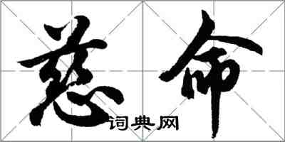 胡问遂慈命行书怎么写