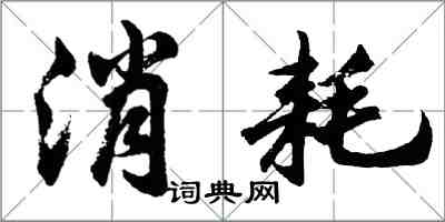 胡问遂消耗行书怎么写