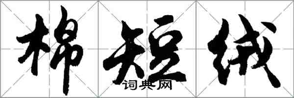 胡问遂棉短绒行书怎么写