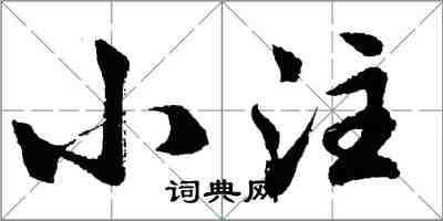 胡问遂小注行书怎么写