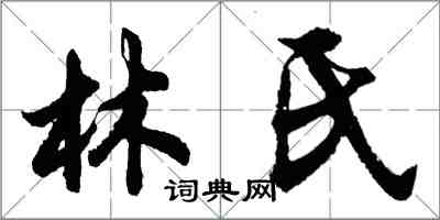 胡问遂林氏行书怎么写