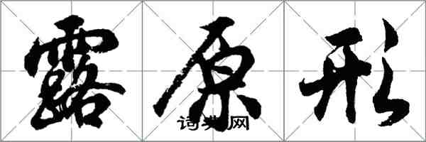 胡问遂露原形行书怎么写