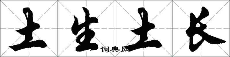 胡问遂土生土长行书怎么写