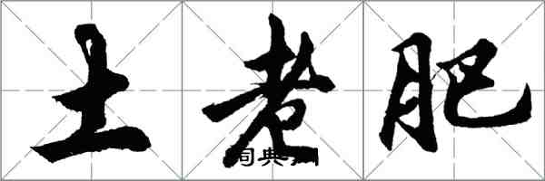 胡问遂土老肥行书怎么写