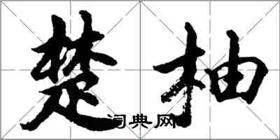 胡问遂楚柚行书怎么写