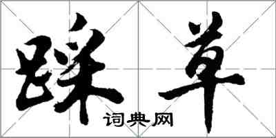 胡问遂踩草行书怎么写