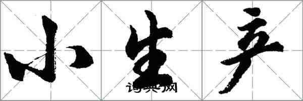 胡问遂小生产行书怎么写