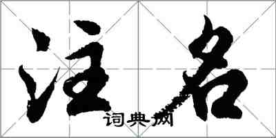 胡问遂注名行书怎么写